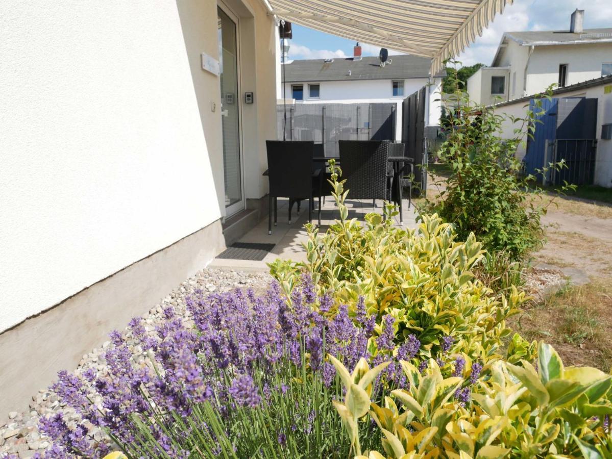 צינוביץ Ferienwohnung Zur Ostsee 3 מראה חיצוני תמונה